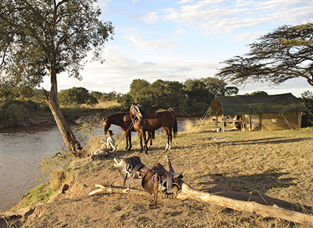 On The Banks Of The Mara River
